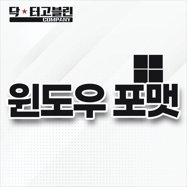 윈도우 포맷