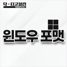 윈도우 포맷
